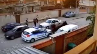 Смразяващ инцидент с кон и патрулка в махалата в Раковски ВИДЕО 