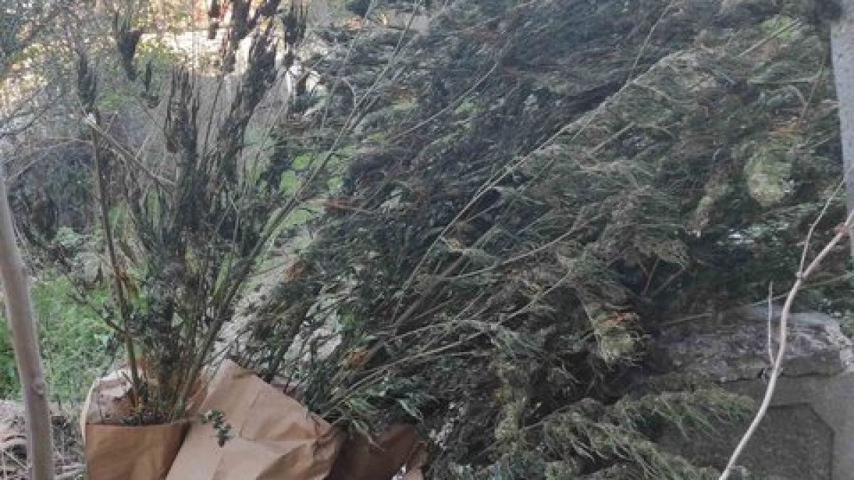 Полицаи влязоха в изоставена постройка в с. Салманово и онемяха СНИМКИ