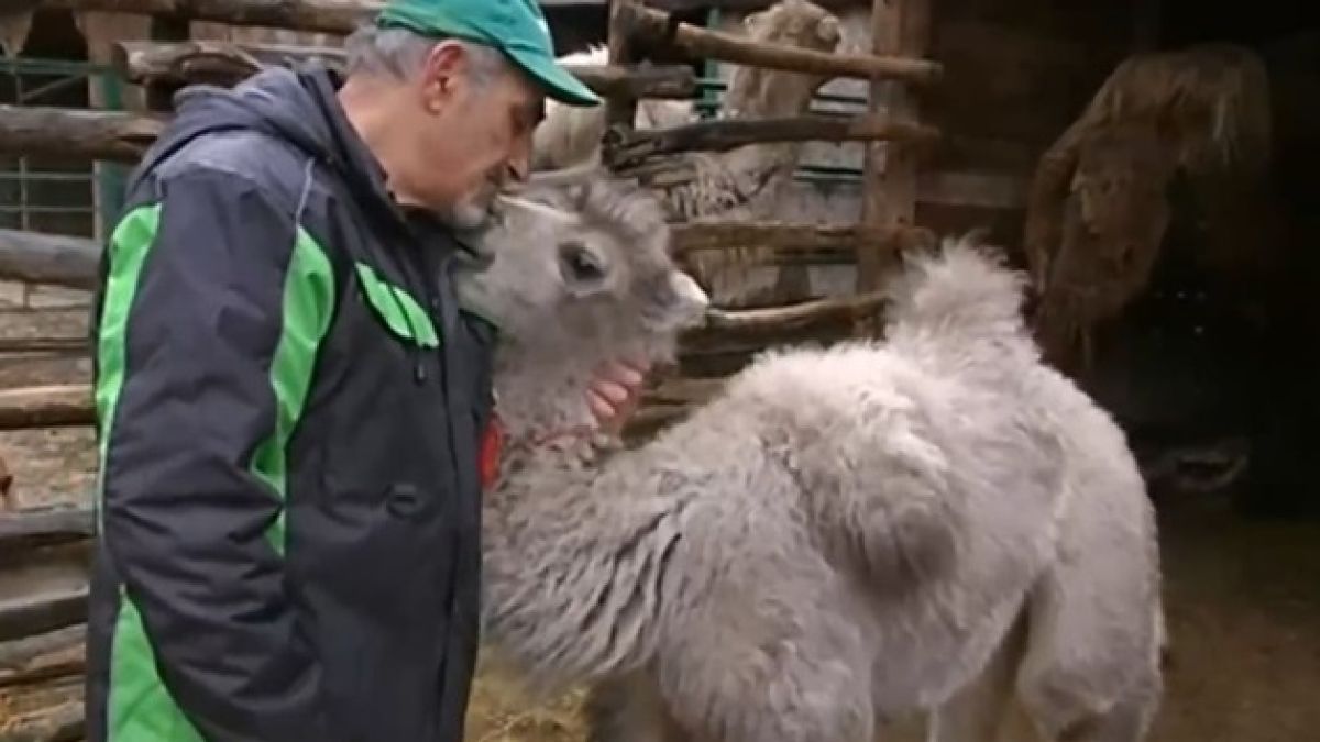 Изключително рядко животно се роди във варненския зоопарк ВИДЕО