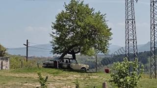 Паралелен свят: Защо Ладата е на сянка и се развърта шише ракия между набори СНИМКА