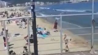 Украинците превзеха плажа на Слънчев бряг ВИДЕО 