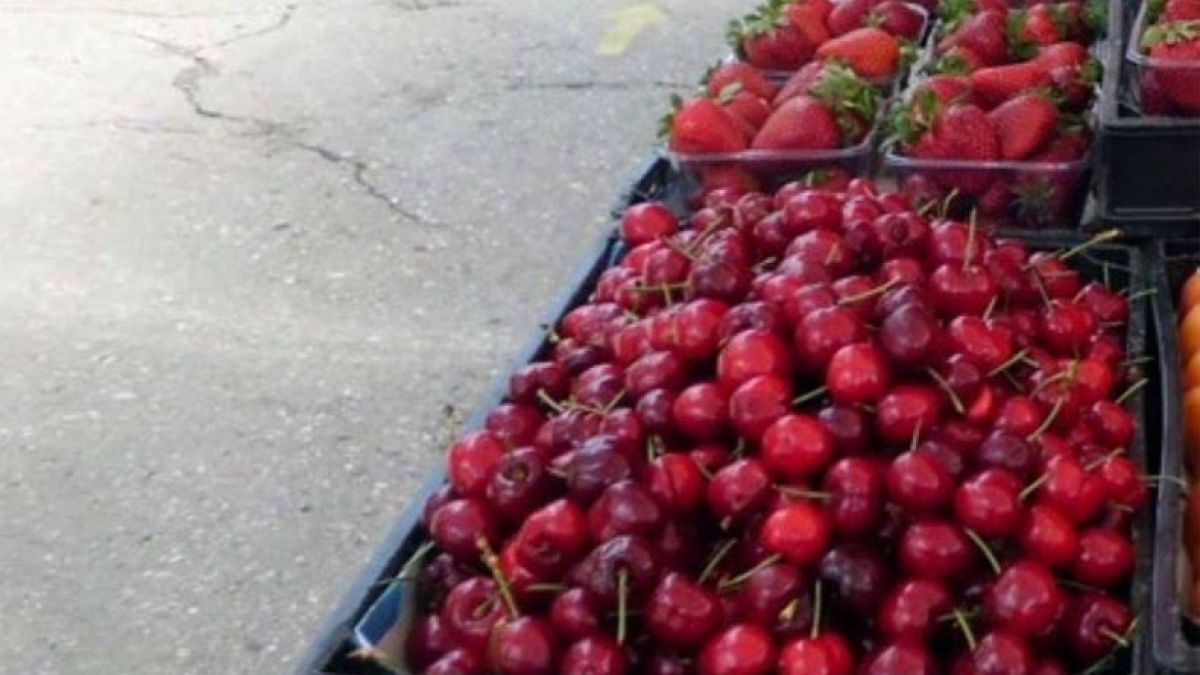 В Добрич черешите са направо за без пари! Търгуват ги за...