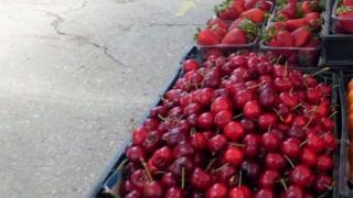 В Добрич черешите са направо за без пари! Търгуват ги за...