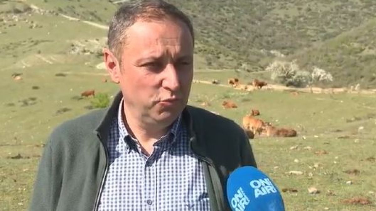 От парламента до фермата: Яне Янев загърби политиката и гледа телета ВИДЕО