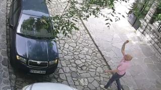 Известен пловдивчанин спретна голям цирк ВИДЕО