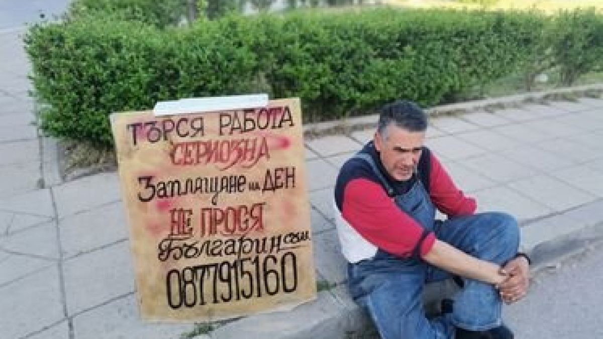 Българин с табела на столично кръстовище смълча мрежата СНИМКА