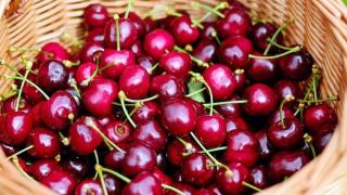 Ето кога ще паднат цените на черешите 