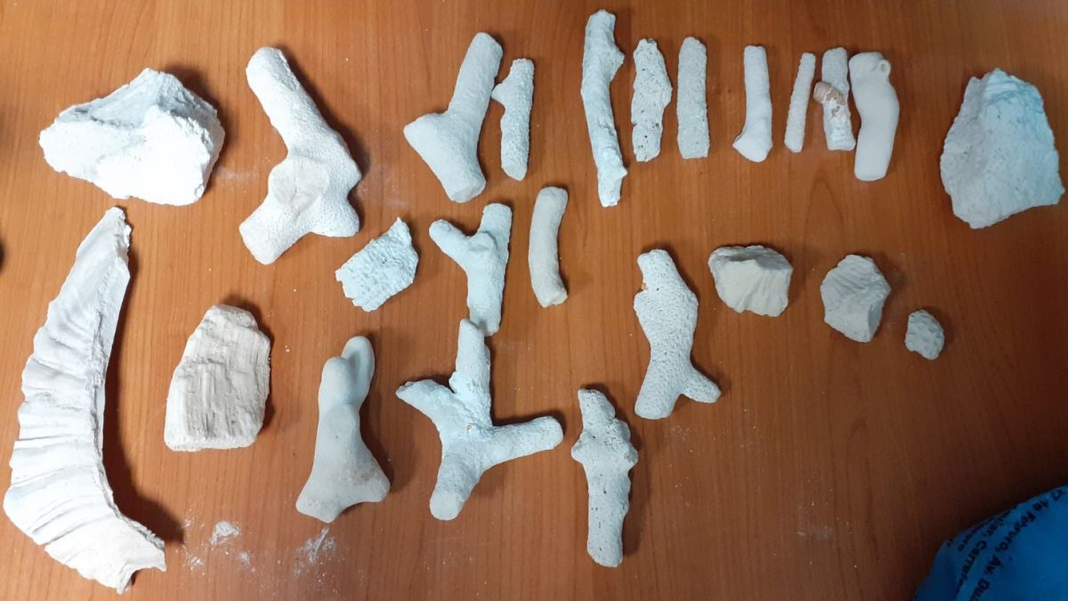 Такава находка в куфар на летище София митничарите не са и сънували 