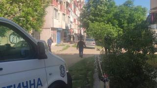 Като филм на ужасите! Пликът с мъртвото бебе се скъсал, телцето му изпаднало на улицата