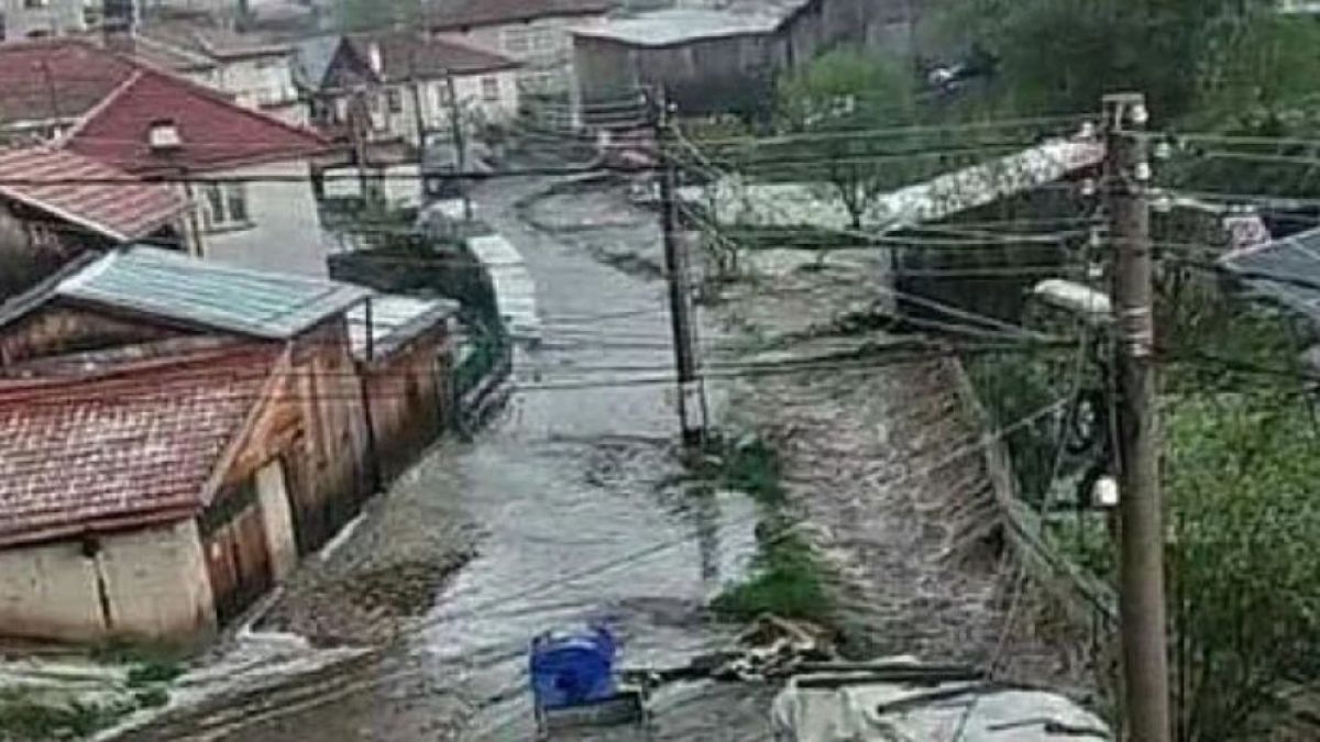 Апокалиптични СНИМКИ от невиждания от 30 г. ужас, връхлетял доспатското село Змеица СНИМКИ