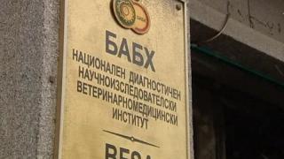 Искат оставката на шефа на БАБХ заради шикалкавене на въпрос за подкуп и хаоса на границите 