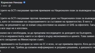 Нинова посече Василев заради еврото