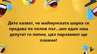 Светльо Витков с много тревожна новина за маймунската шарка и депутатите