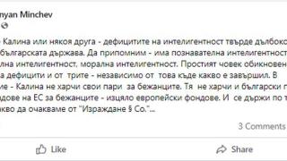 Заради украинците: Политолог обясни колко проста е Константинова
