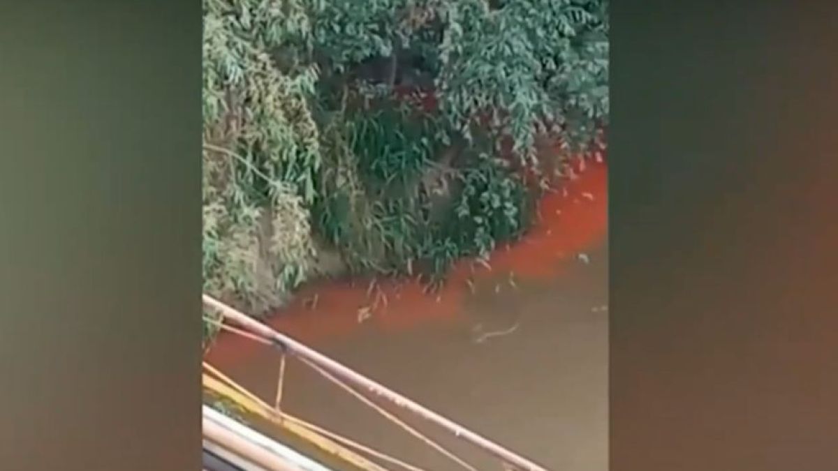 Река русенски Лом смени три цвята за два дена ВИДЕО