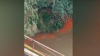 Река русенски Лом смени три цвята за два дена ВИДЕО