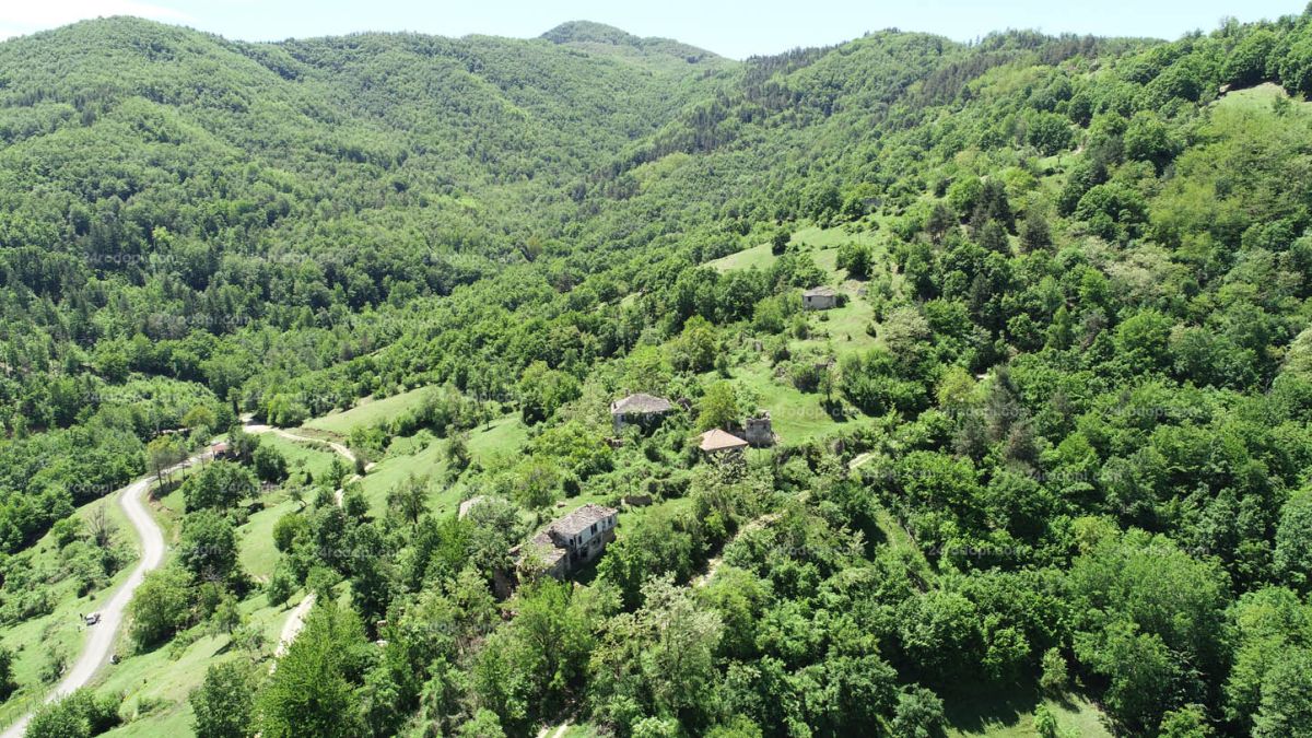 Цяла България говори за Дядовци - хора няма, а всеки иска къща там ВИДЕО