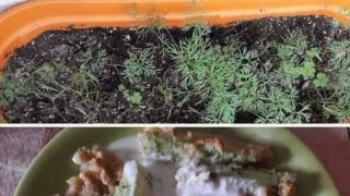 Просветното министерство втрещи мрежата със странен пост, а минути по-късно... СНИМКА 