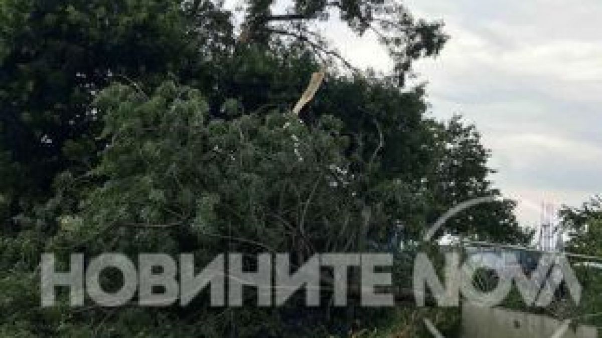 Ето какви поразии остави след себе си мощната стихия, ударила Южното Черноморие ВИДЕО 
