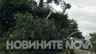 Ето какви поразии остави след себе си мощната стихия, ударила Южното Черноморие ВИДЕО 