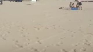 Слънчев бряг не е същият след украинските бежанци ВИДЕО 