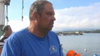 Делфините в Черно море полудяха заради войната в Украйна 