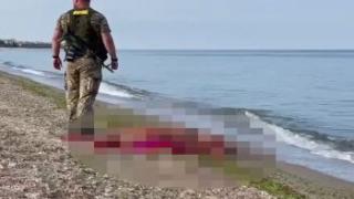 Мина гръмна и уби турист на плажа в Одеса ВИДЕО 