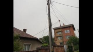 Столичани алармират за грозно престъпление с три убити щъркела 