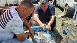 Инфлацията удари и пазарите, оборотите са скандални СНИМКИ