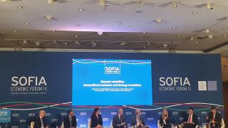Кристина Лазарова, съосновател на Платформата "Brown to Green": Тежките административни процедури пречат на модернизацията и постигането на климатична неутралност на бизнеса