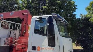 Спасиха три малки щъркелчета, останали без родители СНИМКИ
