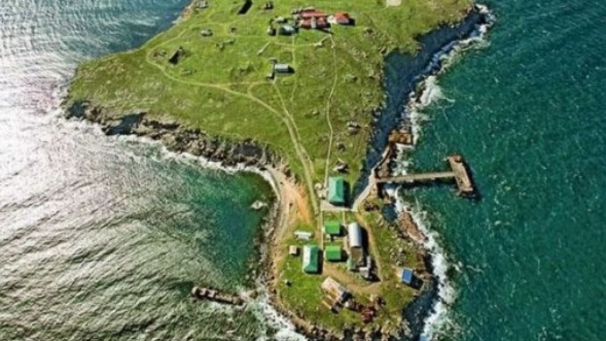 ВСУ се провалиха в нова атака на Змийския остров, но успешно настъпват към Херсон