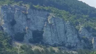 Зверски заклана девойка от Кърджали, разчленена и изхвърлена от скала