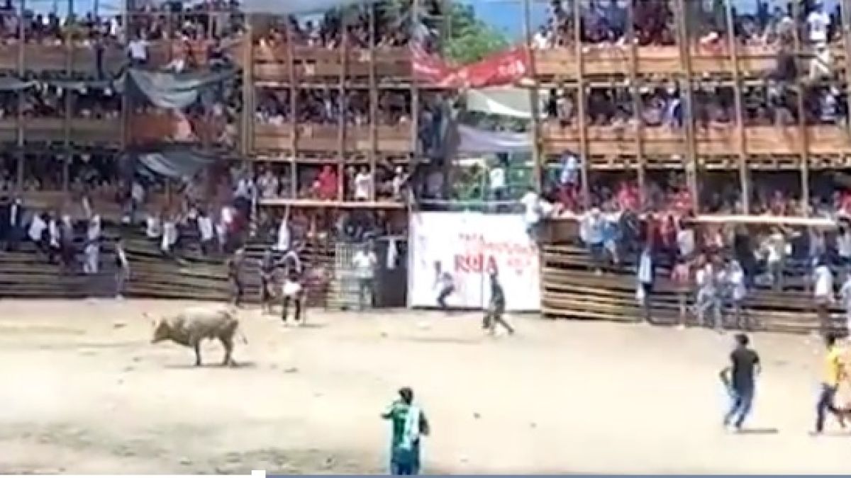 Трибуна на стадион рухна по време на корида, има загинали и ранени ВИДЕО