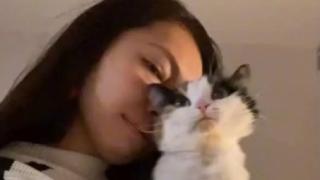 Реакцията на котка при завръщането на собственичката ѝ ще разтопи всяко сърце ВИДЕО