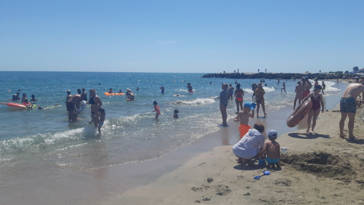 Туристите по родното море пропищяха от страшна напаст 