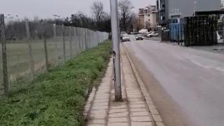 Пловдивчанин: Само малоумен човек може да сътвори такова нещо ВИДЕО