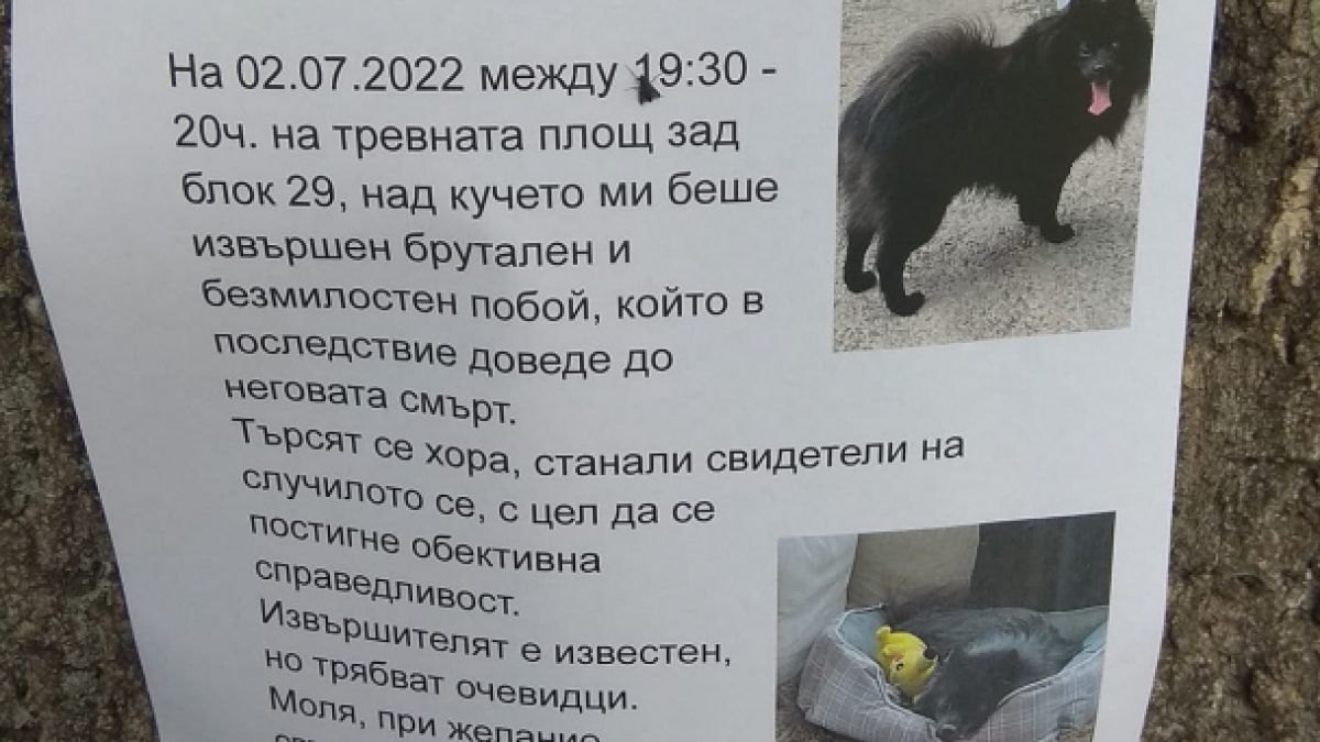 Брутално убийство в София разтърси мрежата! Извършителят е ясен, но... СНИМКА