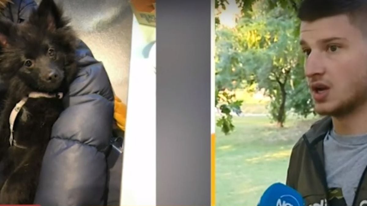 Брутално: Мъж рита до смърт домашно куче в София ВИДЕО