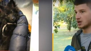Брутално: Мъж рита до смърт домашно куче в София ВИДЕО
