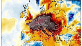 Учени: Невиждан мор в Европа! Ужасът иде към България, въвеждат извънредни мерки ВИДЕО