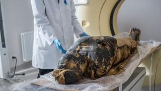 Разбулиха тайна на първата бременна египетска мумия СНИМКИ