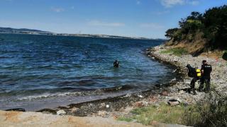 Ужасяващи находки в морето на 5 мили от Камен бряг СНИМКИ