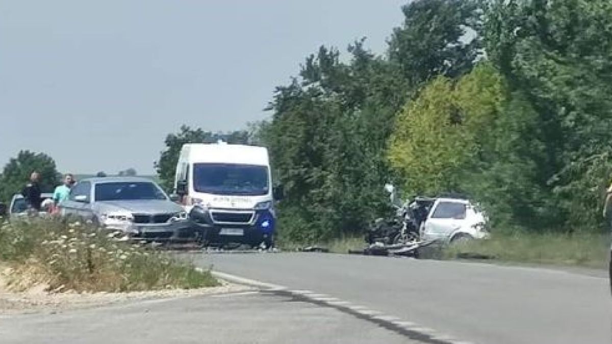 Страшни новини за двете момичета, оцелели в касапницата с 5 трупа край Брестовец ВИДЕО