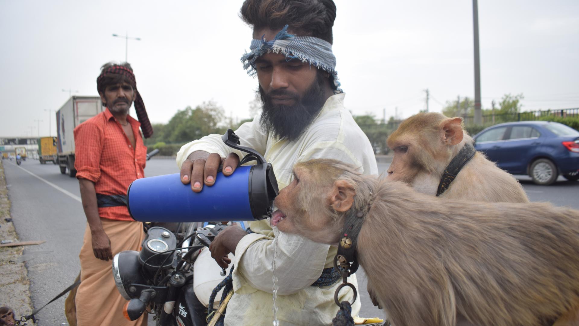 Как се живее в градовете, в които 40°C е ежедневие