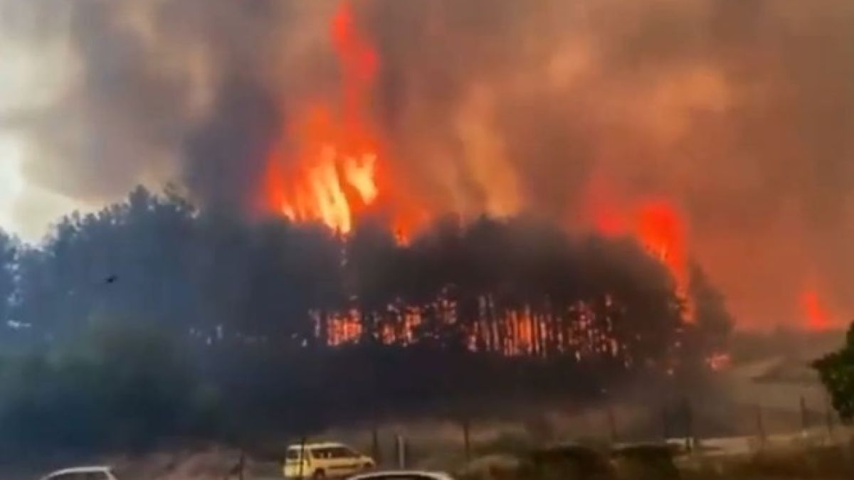В Казанлък отново пламна пожар - унищожени са десетки къщи и вили ВИДЕО