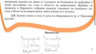 Разбра се как Лена Бориславова е забъркала скандала с КЕВР ДОКУМЕНТИ