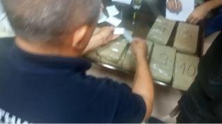 Митничари на Дунав мост 2 отвориха камион с кучешка храна и онемяха ВИДЕО 