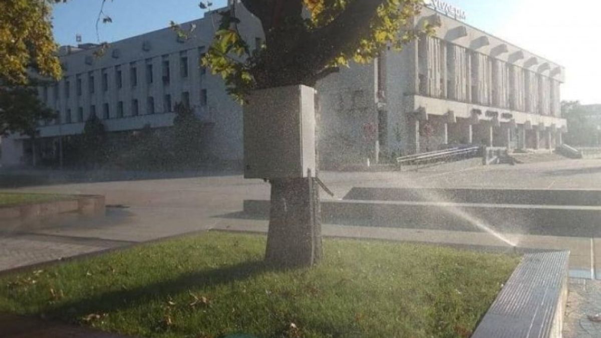 Тази СНИМКА от Пловдив шокира цяла България