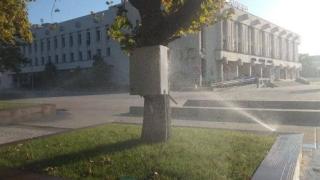 Тази СНИМКА от Пловдив шокира цяла България